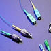 Molex PM Fiber connectors