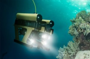 ROV/AUV
