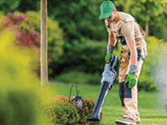 lawn care
