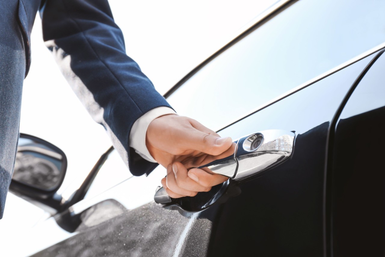 A car door handle
